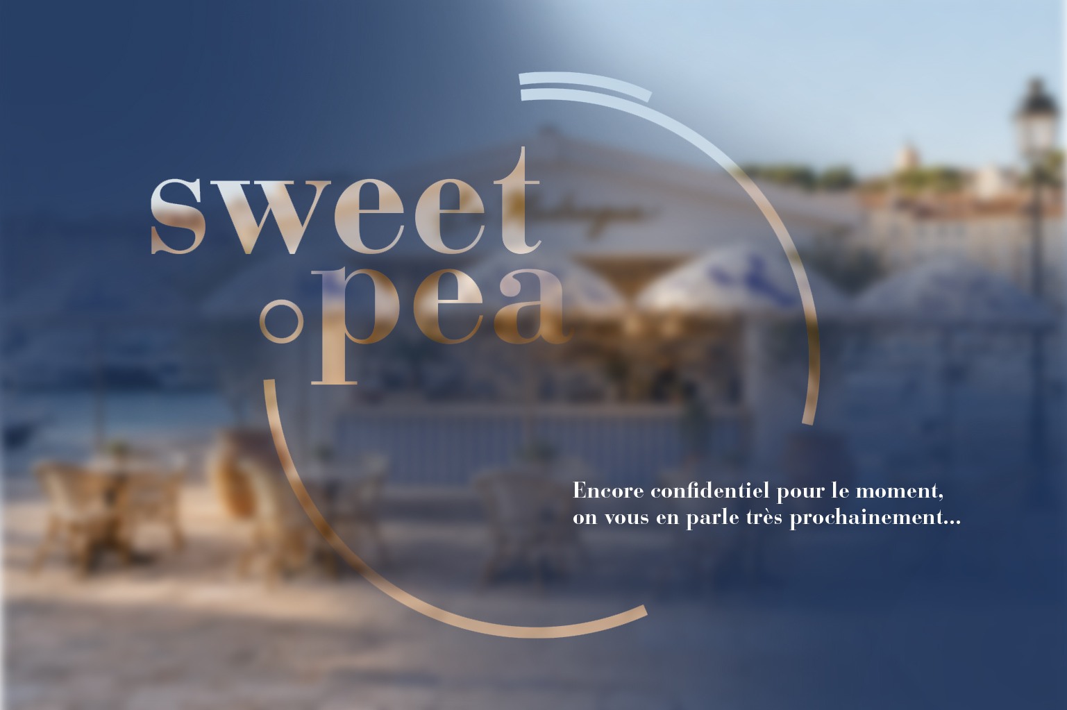 CONCEPT STORE ET BAR – Étude en développement…