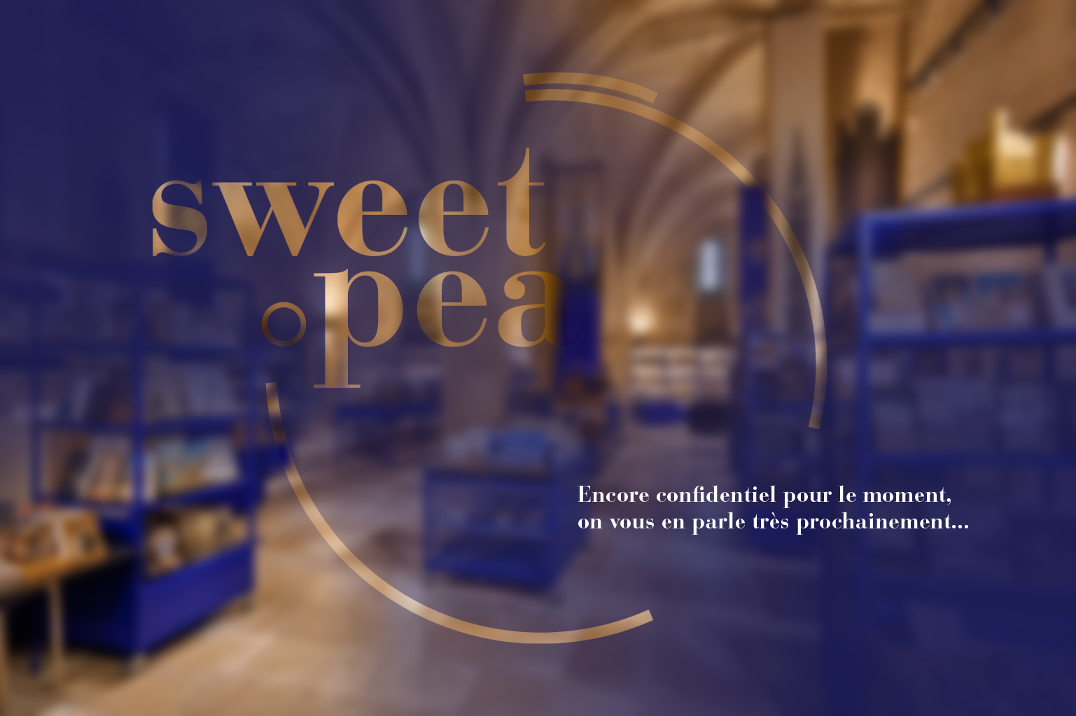 PROJET LIBRAIRIE – Étude en développement…